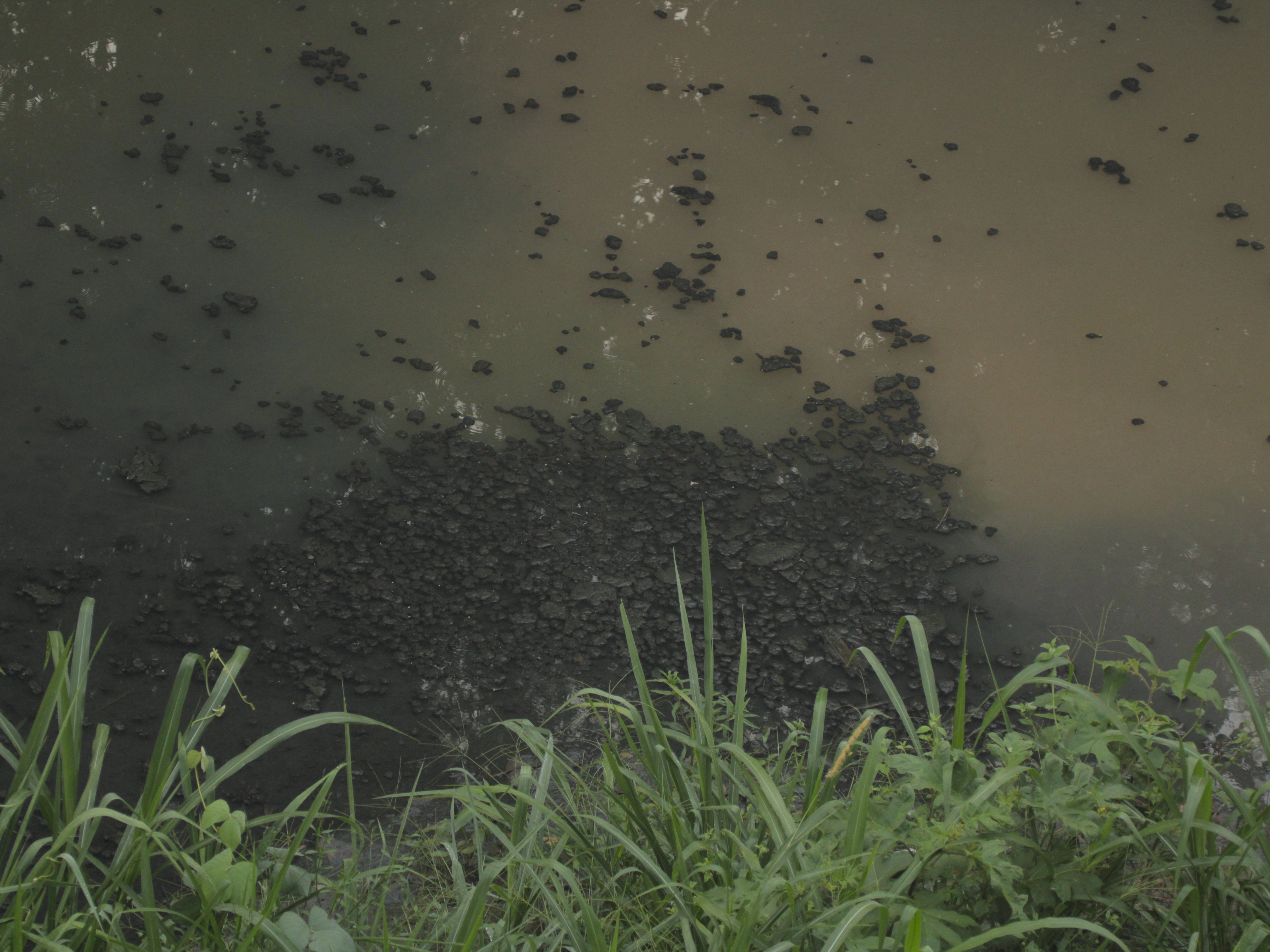 Contaminación por aguas residuales afecta la cuenca del Río Lempa