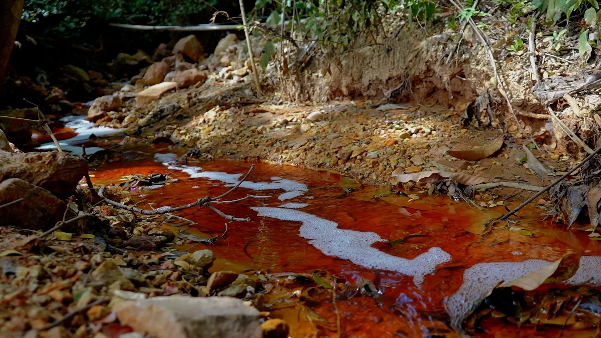 Investigación advierte riesgos ambientales por proyectos mineros en zonas vinculadas a la cuenca del Río Lempa